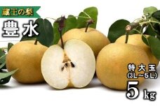 【先行予約】蔵王の梨 豊水約5kg 特大玉(3～5L程度）　【04301-0142】