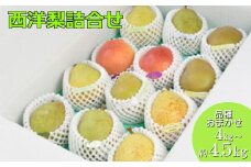 【先行予約】厳選 西洋梨詰合せ約4kg（14個～16個） 蔵王産　【04301-0150】