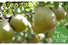 【先行予約】厳選 おいしいラ･フランス約4kg（14～18個） 蔵王産　【04301-0151】