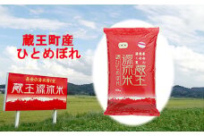 ＜令和６年産米＞蔵王源流米ひとめぼれ10kg　【04301-0161】