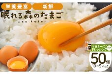 蔵王鶏園　眠れる森のたまご　朝採れ卵50個と自家製マヨネーズ・ドレッシングセット　【04301-0181】