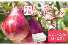 【先行予約】希少な洋梨「リーガルレッドコミス」 2.5～2.8kg（8～12個） 蔵王産　【04301-0184】