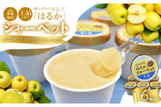 りんご「はるか」シャーベット　【04301-0202】