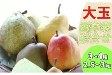 【先行予約】西洋梨詰合せ約2.5～3kg（7～8個） 蔵王産　【04301-0277】