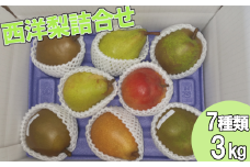 【先行予約】西洋梨詰合せ　7種 約3kg（7～10個） 蔵王産　【04301-0278】