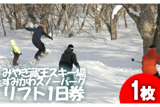 共通リフト1日券　【04301-0311】