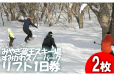 共通リフト1日券　2枚　【04301-0312】