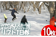 共通リフト1日券　10枚　【04301-0313】