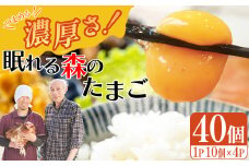眠れる森のたまご　朝採れ卵40個   たまご タマゴ 卵 鶏卵 濃厚 こだわり 新鮮 【04301-0324】