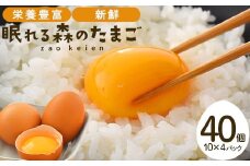 眠れる森のたまご　朝採れ卵40個   たまご タマゴ 卵 鶏卵 濃厚 こだわり 新鮮 【04301-0324】