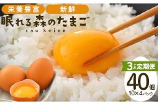 【３か月連続お届け】眠れる森のたまご 朝採れ卵40個　たまご タマゴ 卵 鶏卵 濃厚 こだわり 新鮮 定期便【04301-0325】