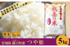 ＜令和６年産米＞蔵王産　我妻の米（つや姫）　精米5kg　【04301-0382】