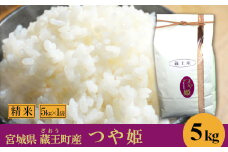 ＜令和６年産米＞蔵王産　つや姫　精米5kg　【04301-0386】