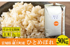 【6か月定期便】蔵王産　ひとめぼれ　玄米30kg（5kg×6回）　【04301-0400】