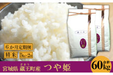 【6か月定期便】蔵王産　つや姫　精米60kg（5kg×2袋×6回）　【04301-0415】