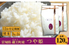 【12か月定期便】蔵王産　つや姫　精米120kg（5kg×2袋×12回）　【04301-0416】