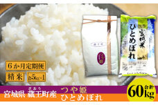 【6か月定期便】蔵王産米2種食べ比べセット　精米60kg（つや姫5kgひとめぼれ5kg×6回）　【04301-0418】