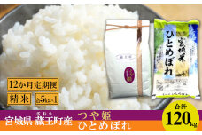 【12か月定期便】蔵王産米2種食べ比べセット　精米120kg（つや姫5kgひとめぼれ5kg×12回）　【04301-0419】