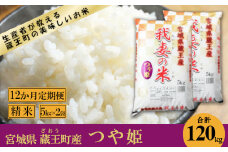 【12か月定期便】蔵王産　我妻の米（つや姫）　精米120kg（5kg×2袋×12回）　【04301-0431】