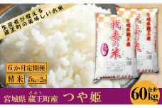 【6か月定期便】蔵王産　我妻の米（つや姫）　精米60kg（5kg×2袋×6回）　【04301-0430】