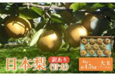 【先行予約】【訳あり】日本梨（甘太）4kg（大玉7～14玉入り） 蔵王産　【04301-0454】