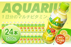 アクエリアス1日分のマルチビタミン500ml×24本　【04301-0538】