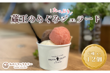 蔵王のめぐみたっぷりジェラート １２個　ジェラート フルーツ デザート 贈り物 蔵王【04301-0503】