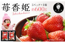 苺1箱（2パック入り/大きい苺/化粧箱）苺香姫～ICHI-KA-HIME～　【04301-0563】