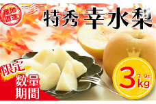 【先行予約】＜蔵王町産＞【特秀】幸水梨3kg 箱詰め　【04301-0603】