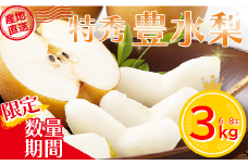 【先行予約】＜蔵王町産＞【特秀】豊水梨3kg箱詰め　【04301-0604】