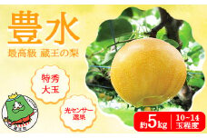 【先行予約】最高級 蔵王の梨 豊水 約5kg　特秀・大玉　【04301-0716】梨 なし 果物 くだもの スイーツ フルーツ デザート 甘い ジューシー  蔵王 