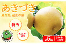 【先行予約】最高級 蔵王の梨 あきづき  約5kg  特秀･大玉　【04301-0717】梨 なし 果物 くだもの スイーツ フルーツ デザート 甘い ジューシー 蔵王