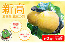 【先行予約】最高級 蔵王の梨  新高  約5kg 特秀･大玉　【04301-0718】梨 なし 果物 くだもの スイーツ フルーツ デザート 甘い ジューシー 蔵王