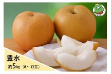 【先行予約】宮城蔵王の梨「豊水」約5kg　【04301-0726】梨 なし 果物 くだもの スイーツ フルーツ デザート 甘い ジューシー 蔵王
