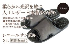 レユールサンダル3L（約28.5cmまで） ブラック　【04301-0598-2】