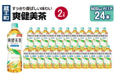 【2か月連続お届け】爽健美茶　600ml PET×24本　【04301-0696】