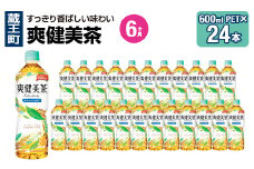 【6か月連続お届け】爽健美茶　600ml PET×24本　【04301-0697】