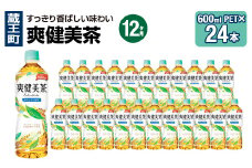 【12か月連続お届け】爽健美茶　600ml PET×24本　【04301-0698】