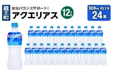 【12か月連続お届け】アクエリアス　500ml PET×24本　【04301-0707】