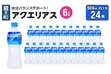 【6か月連続お届け】アクエリアス　500ml PET×24本　【04301-0706】