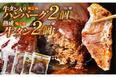 牛タン入りハンバーグ（和風・デミグラス）＆柔らか牛タン（タレ・塩）セット　ハンバーグ 牛たん 和風 デミグラスソース 時短 調理 簡単 便利 お取り寄せグルメ 蔵王 いちじく 国産 豚肉【04301-0757】