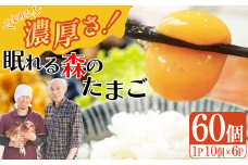 眠れる森のたまご　朝採れ卵60個   たまご タマゴ 卵 鶏卵 濃厚 こだわり 新鮮　【04301-0792】