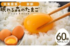 眠れる森のたまご　朝採れ卵60個   たまご タマゴ 卵 鶏卵 濃厚 こだわり 新鮮　【04301-0792】