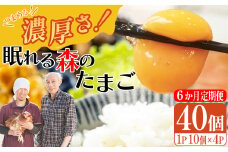 【6か月連続お届け】眠れる森のたまご 朝採れ卵40個　たまご タマゴ 卵 鶏卵 濃厚 こだわり 新鮮 定期便　【04301-0798】