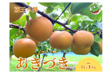 【先行予約】宮城蔵王の梨「あきづき」約5kg　【04301-0819】梨 なし 果物 くだもの スイーツ フルーツ デザート 甘い ジューシー 蔵王
