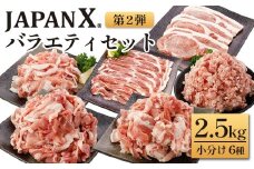 JAPAN X バラエティセット 第2弾 6種 2.5㎏　豚肉 豚 ブランド豚 小分け バラエティセット 豚こま 豚バラ 豚ロース ひき肉 ジャパンエックス 蔵王 人気　【04301-0888】