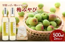 梅みやび（梅シロップ）500ml×2本セット