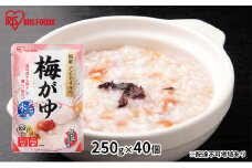 【防災】おかゆ 梅がゆ250g×40個 アイリスオーヤマ レトルト 震災 災害 非常時 備え 備蓄 米 対策 ストック 食料 体調不良 食べ物 低温製法米 常温保存 非常食 