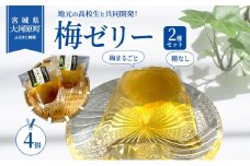 大河原の梅と清水のゼリー うめ果りり ４個入り