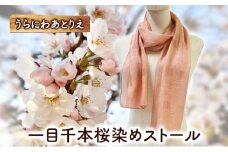 一目千本桜染めストール 桜染め 一目千本桜 ショール シルク ファッション ギフト 贈り物 プレゼント